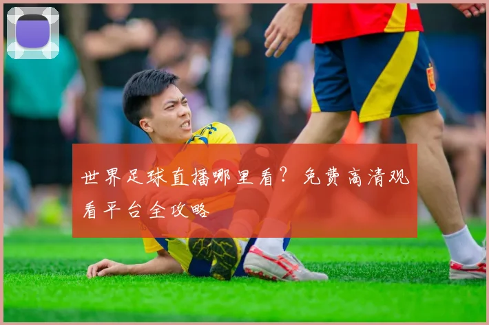 世界足球直播哪里看？免费高清观看平台全攻略