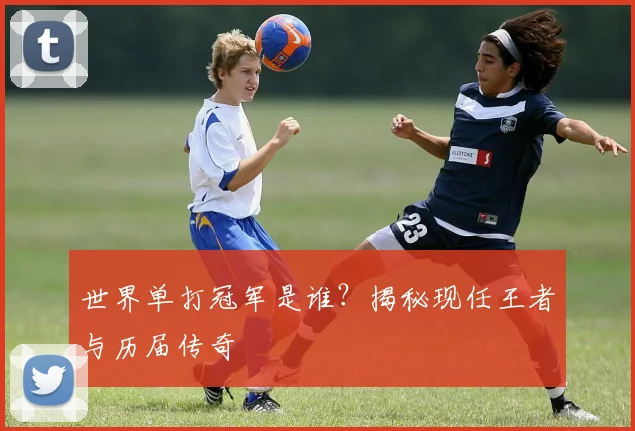 世界单打冠军是谁？揭秘现任王者与历届传奇